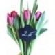 Cenówki do kwiatów, roślin, wbijane kredowe z PCV do dolniczek opa. 10 szt. [CE0097] Dwa wzory do wyboru - kwiat i kwadrat